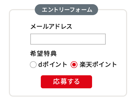 エントリーフォームイメージ