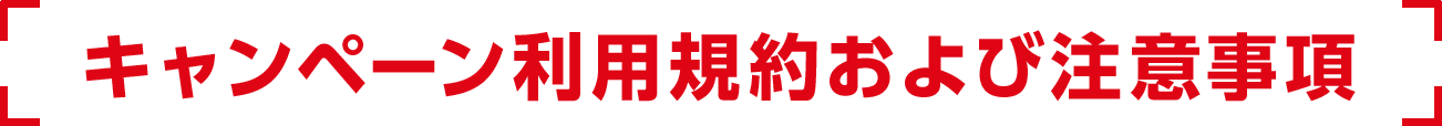 キャンペーン利用規約および注意事項