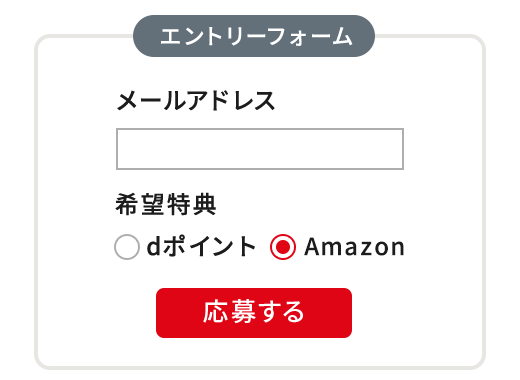 エントリーフォームイメージ