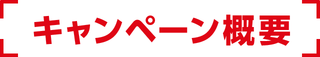 キャンペーン概要